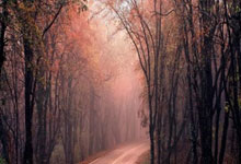 租借之路突遭曼联“拦截”！20岁梅努为世界杯的豪赌，遇上最糟时机