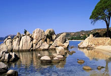 租借之路突遭曼联“拦截”！20岁梅努为世界杯的豪赌，遇上最糟时机