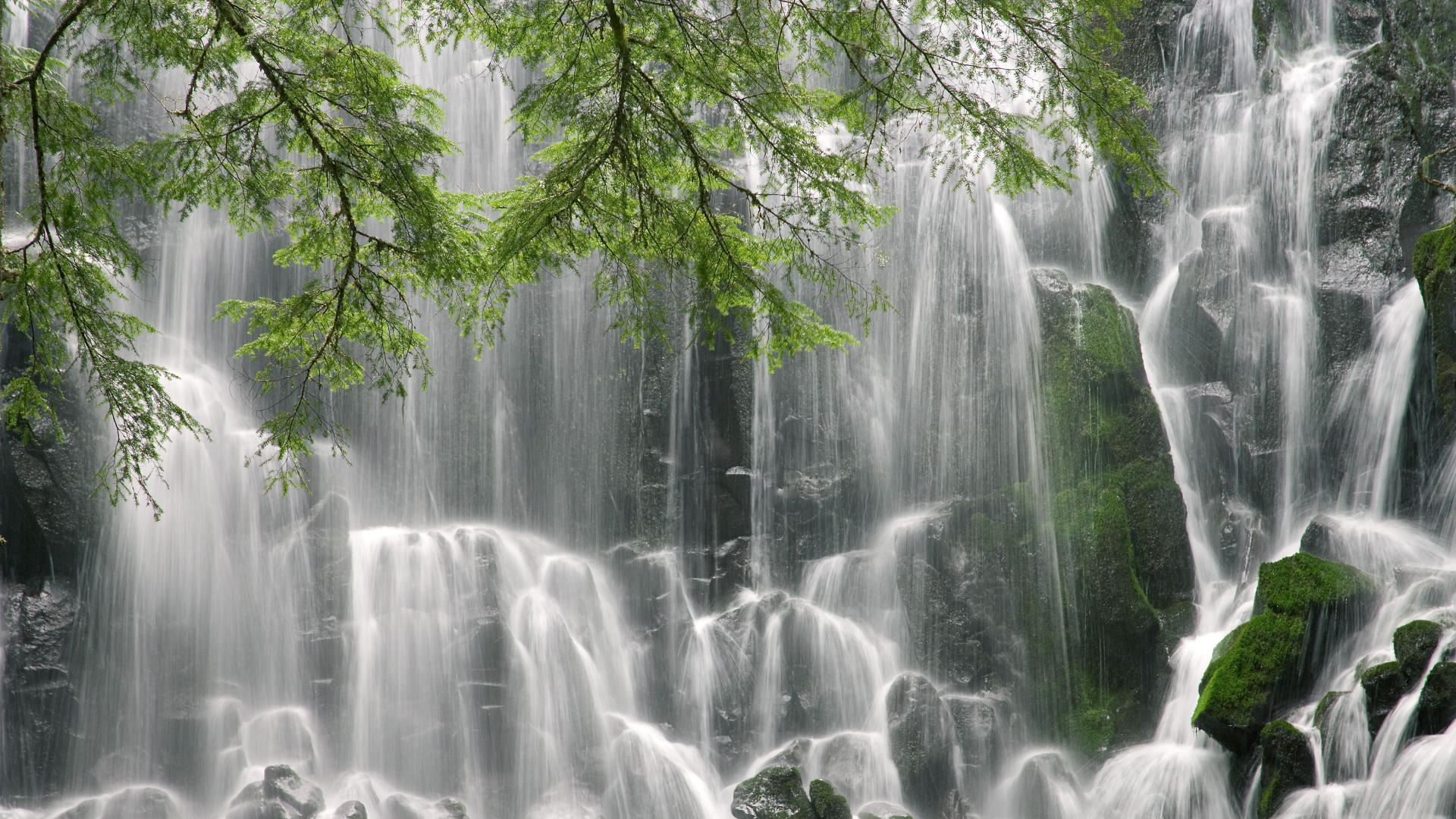 重庆力帆客场挑战山东鲁能，必须全力以赴